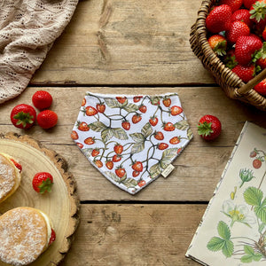 Strawberry Fields Dribble Bib